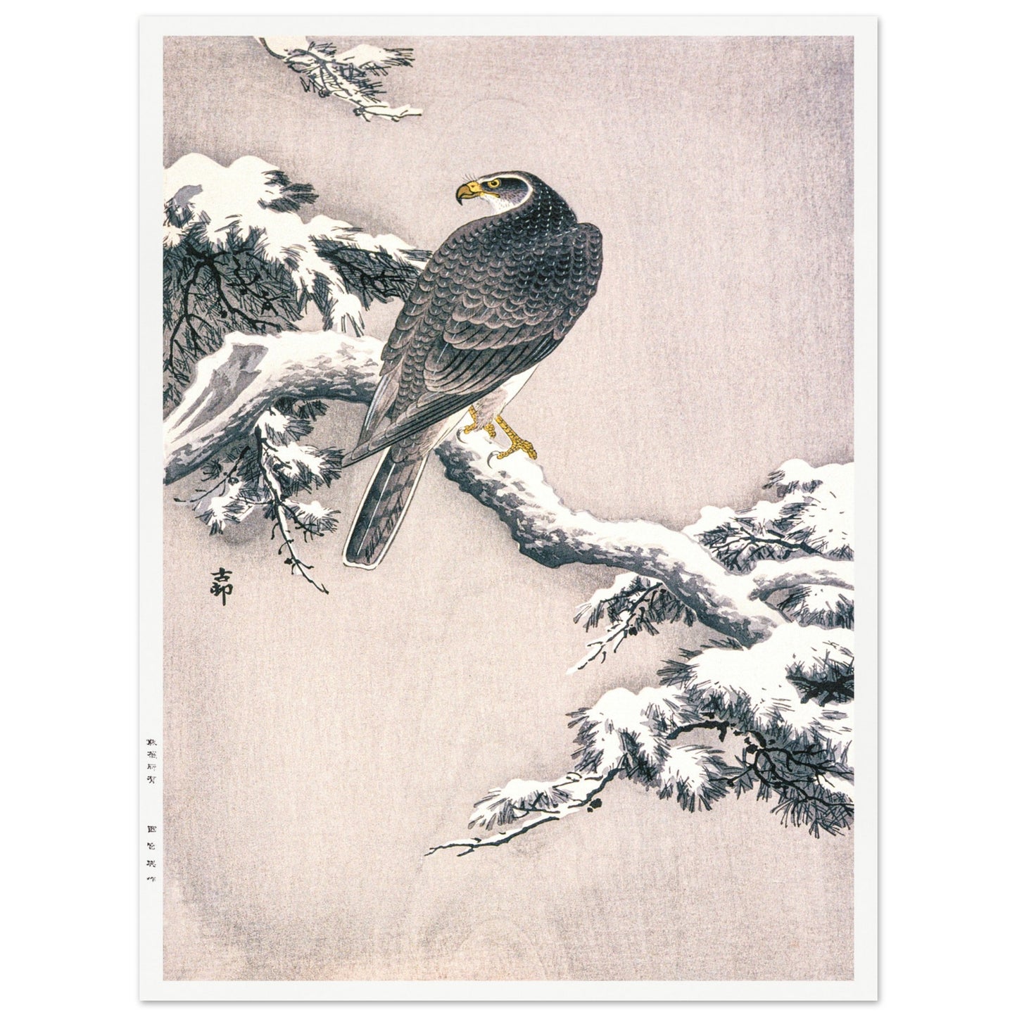 1b7f0c9f-808b-4359-8ddb-2c68da4cac2c