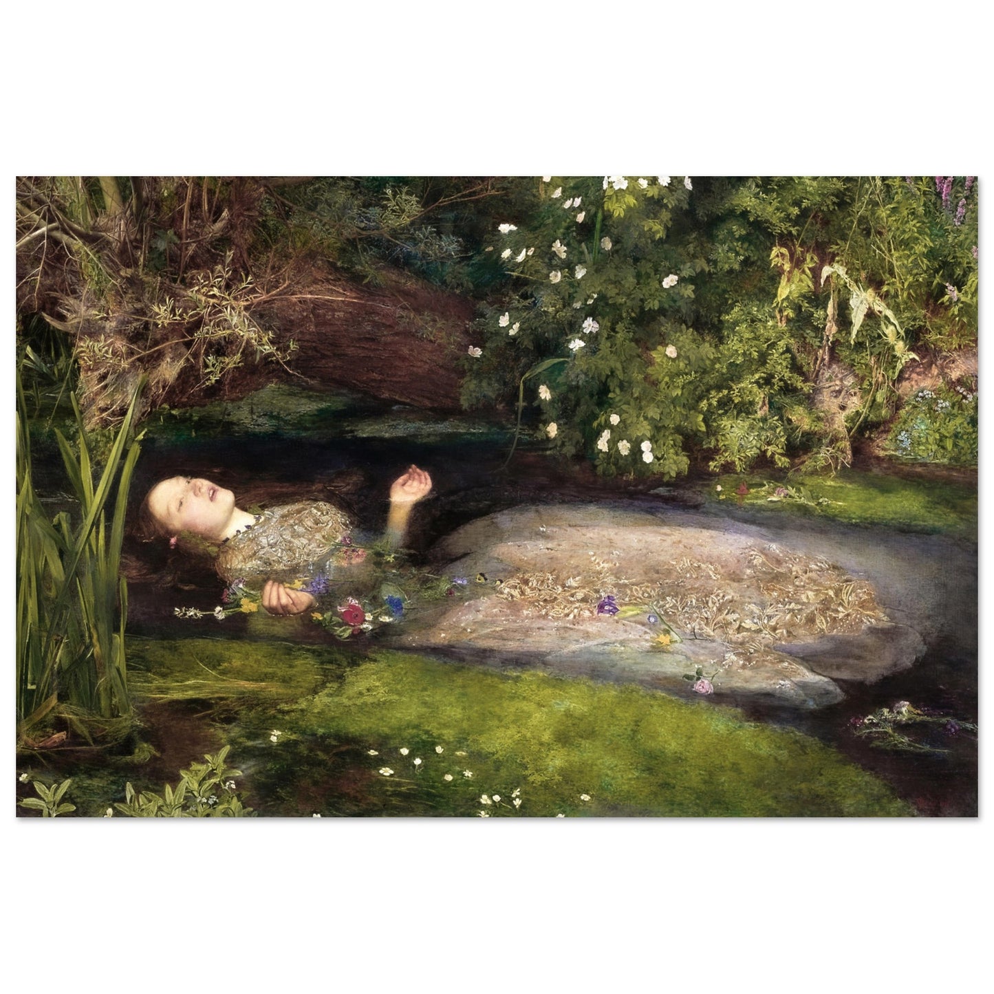 9a5a69bc-6a14-4a26-9fd9-c74d4806b716