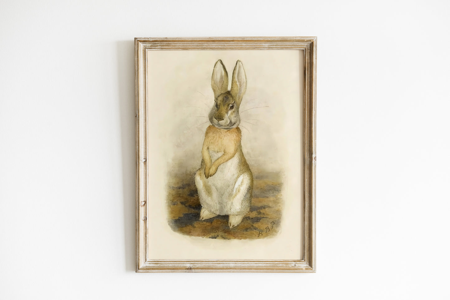 Beatrix Potter origina illustration av en söt hare.