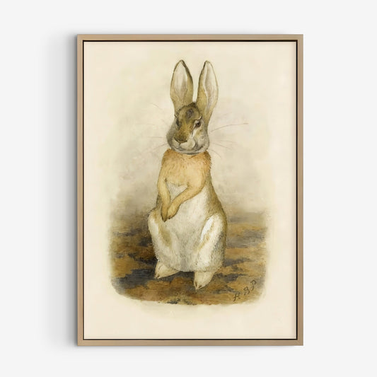 Beatrix Potter origina illustration av en söt hare.