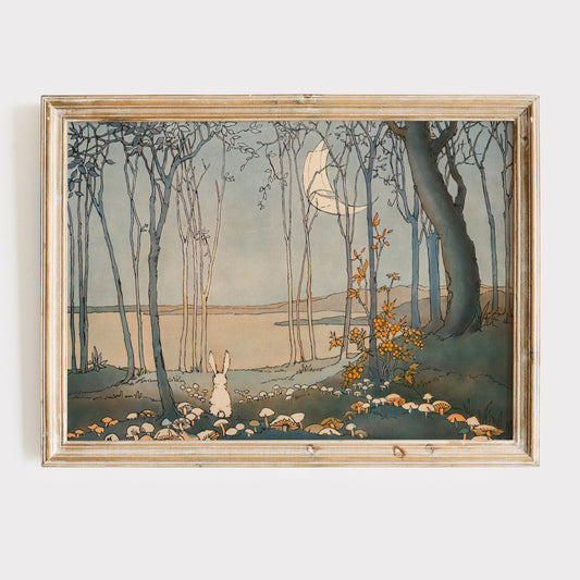 Retro Illustration för barnrummet. Kanin i magisk skog.